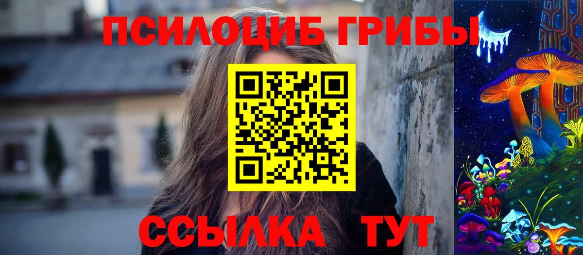 Псилоцибиновые грибы мицелий Семилуки